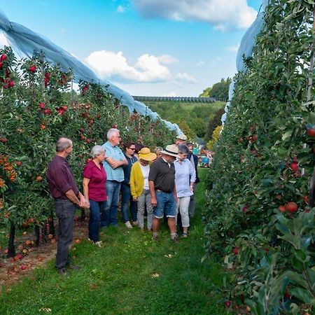 Vakantie Oord Zonnehoeve Valkenburg aan de Geul Eksteriør billede